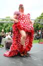 Monica La Flamenca 8 * 5184 x 3456 * (5.22MB)